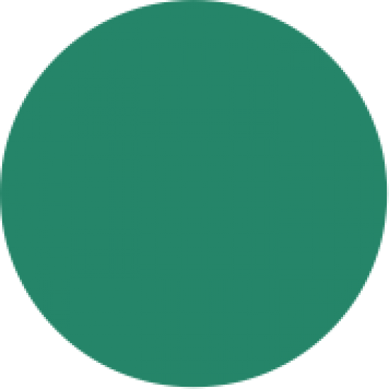 Flex CAD-CUT SportsFilm, Green 400