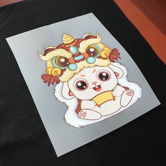 DTF Film Roll, Hot Peel (30cmx100m)