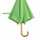 Полу-Автоматический Зонт, Светло-Зеленый